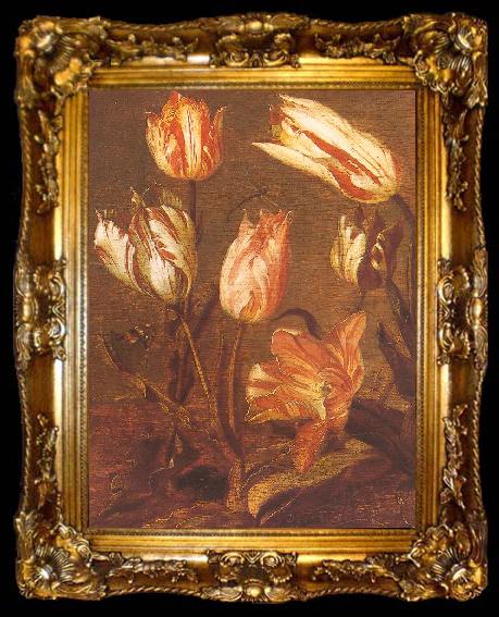 framed  Jacob Gerritsz Cuyp Tulip Field, ta009-2